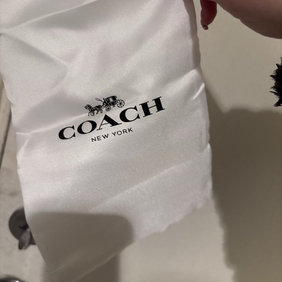 NWT COACH x PEANUTS Long Zip around Wallet Snoopy Woodstock Khaki Brown Wristlet - Picture 4 of 4